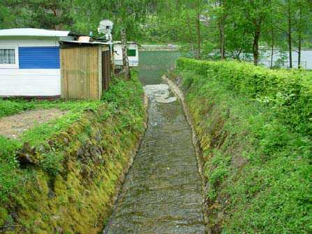Siechenbach-Mündung